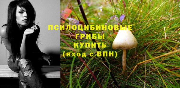 спиды Бронницы