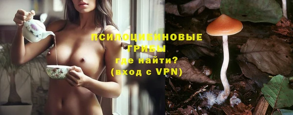 спиды Бронницы