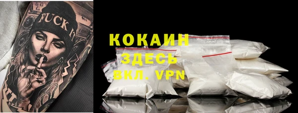 тгк Бородино