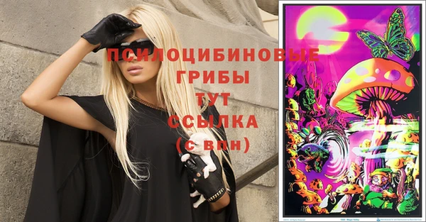 тгк Бородино