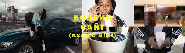 тгк Бородино