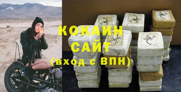 тгк Бородино