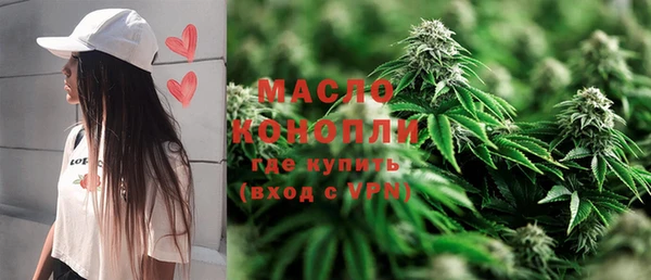 тгк Бородино
