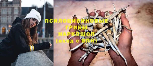 тгк Бородино