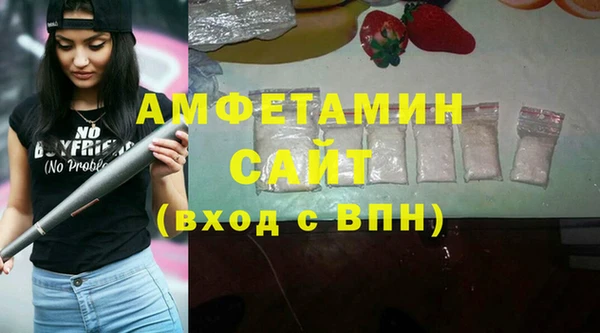 тгк Бородино