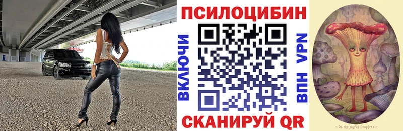 omg маркетплейс  Мезень  Галлюциногенные грибы Psilocybe 