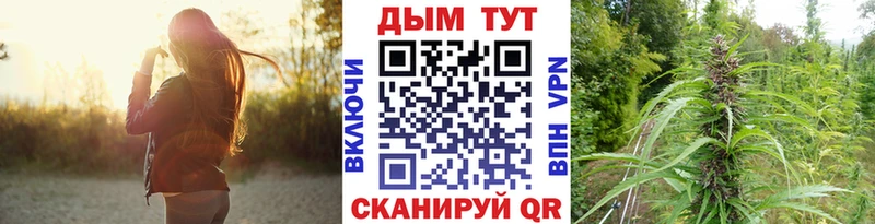 купить закладку  Мезень  Конопля VHQ 